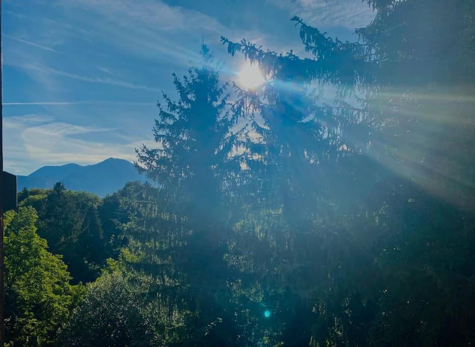 T2 Cocon Avec Balcon Et Parking Apartman La Roche-sur-Foron Kültér fotó